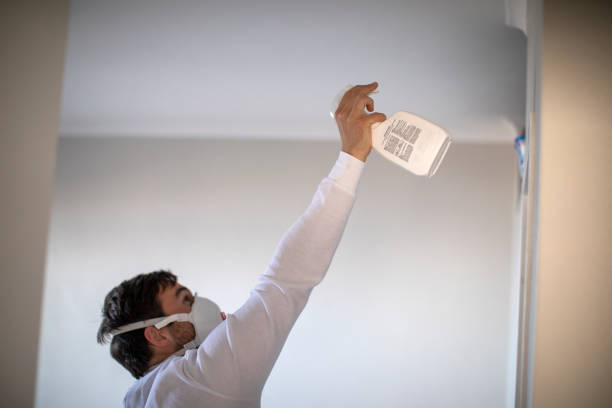 Attic Mold Removal in Chetopa, KS